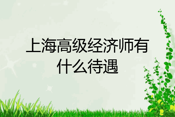 上海高级经济师有什么待遇