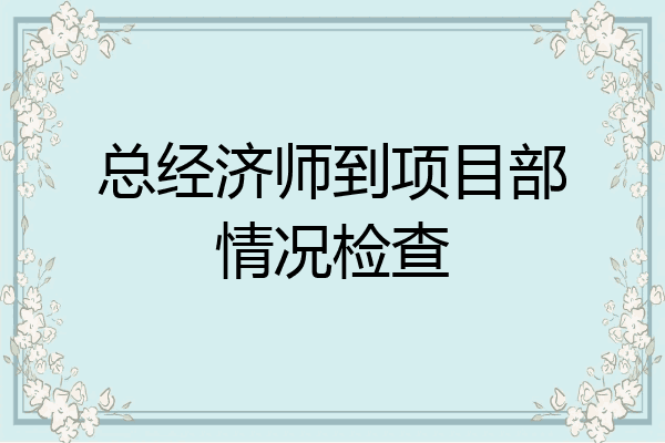 总经济师到项目部情况检查