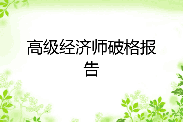 高级经济师破格报告