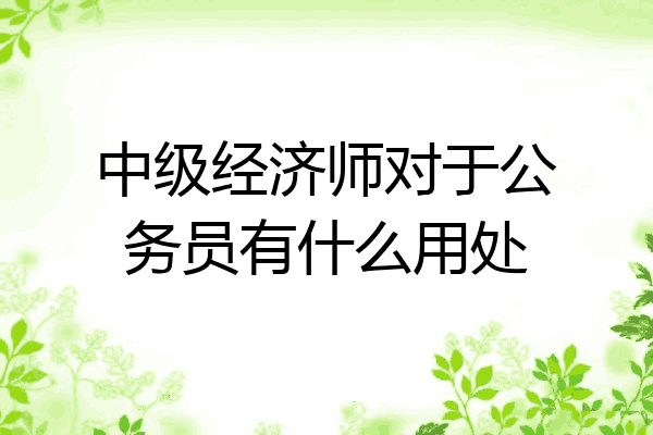 中级经济师对于公务员有什么用处