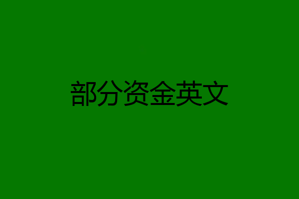 部分资金英文