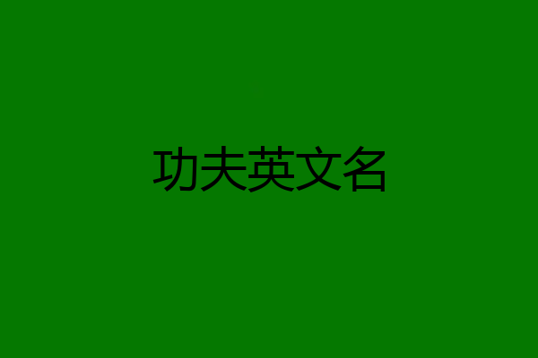 功夫英文名