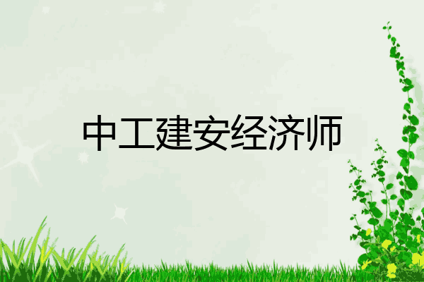 中工建安经济师