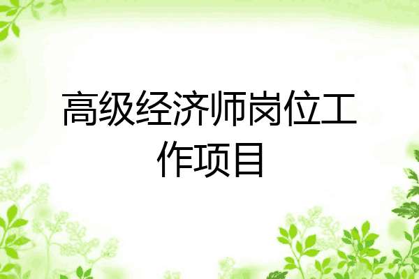 高级经济师岗位工作项目