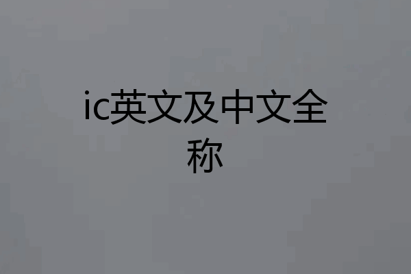 ic英文及中文全称