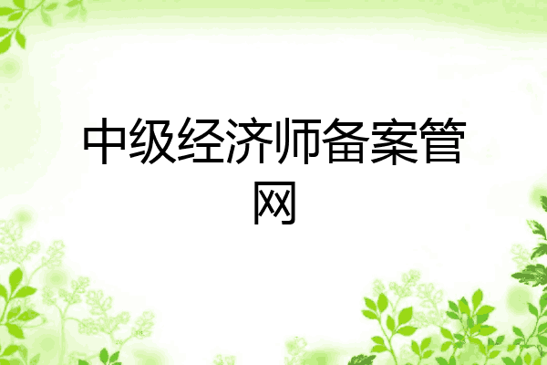 中级经济师备案管网