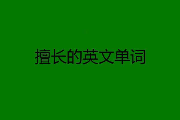 擅长的英文单词