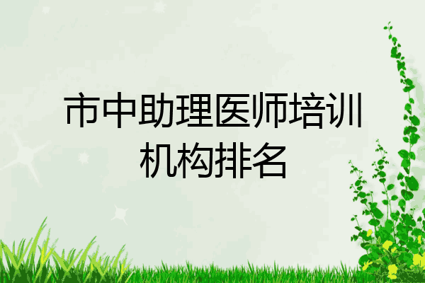 市中助理医师培训机构排名