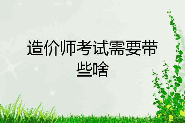 造价师考试需要带些啥