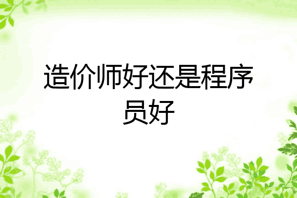 造价师好还是程序员好