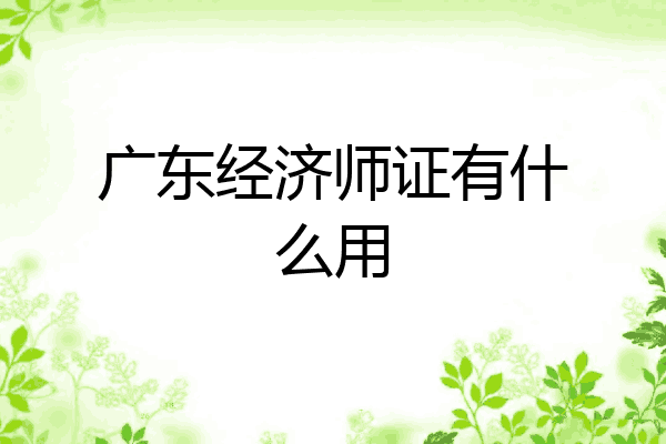 广东经济师证有什么用