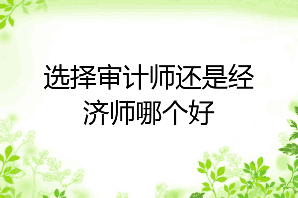 选择审计师还是经济师哪个好