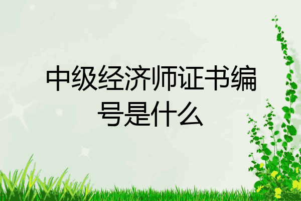 中级经济师证书编号是什么
