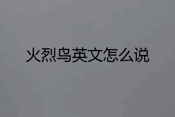 火烈鸟英文怎么说