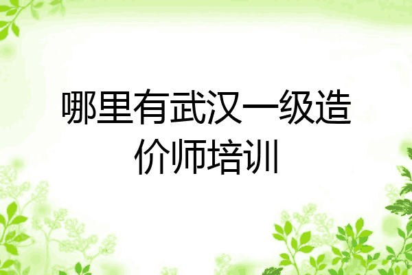 哪里有武汉一级造价师培训