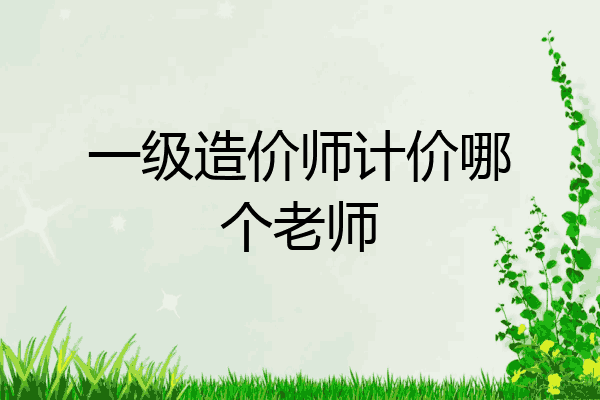 一级造价师计价哪个老师