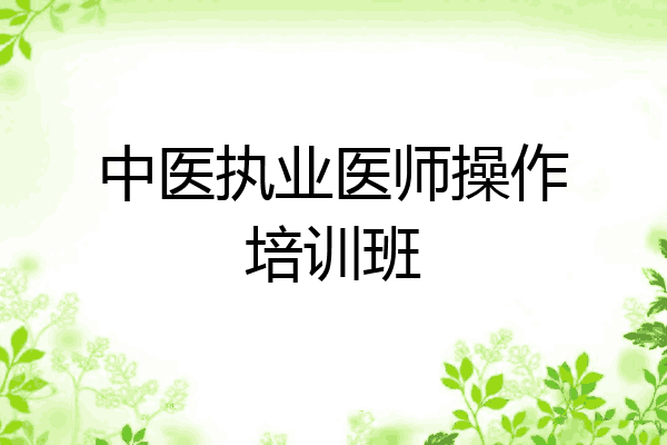 中医执业医师操作培训班