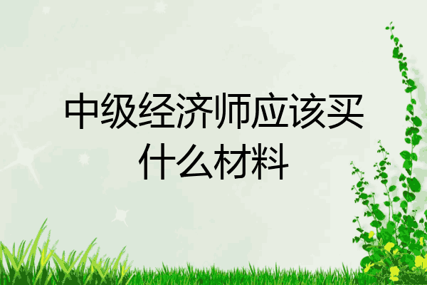 中级经济师应该买什么材料