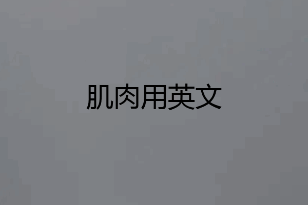 肌肉用英文