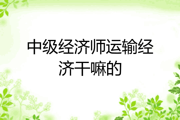中级经济师运输经济干嘛的