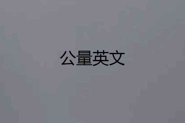 公量英文