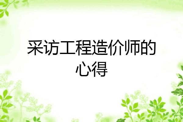 采访工程造价师的心得