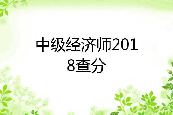 中级经济师2018查分
