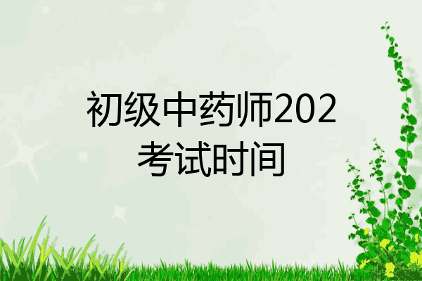 初级中药师202考试时间