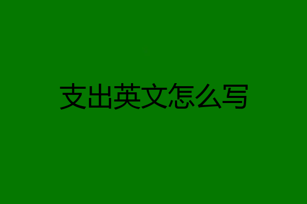 支出英文怎么写