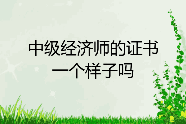 中级经济师的证书一个样子吗