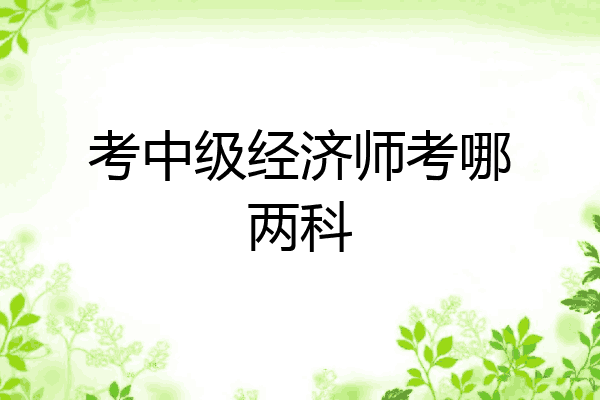 考中级经济师考哪两科