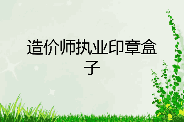 造价师执业印章盒子