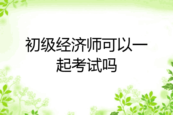 初级经济师可以一起考试吗