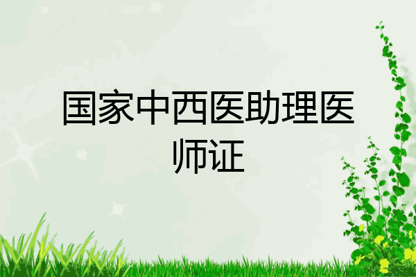 国家中西医助理医师证