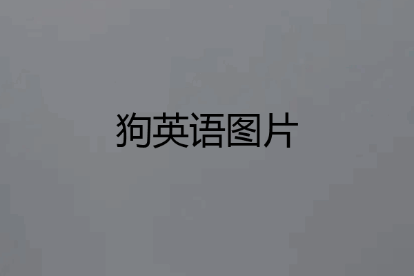 狗英语图片