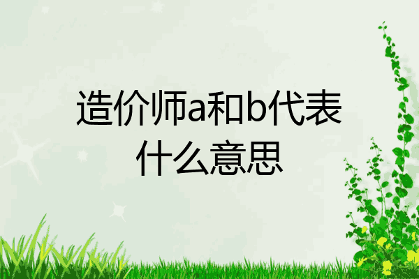 造价师a和b代表什么意思