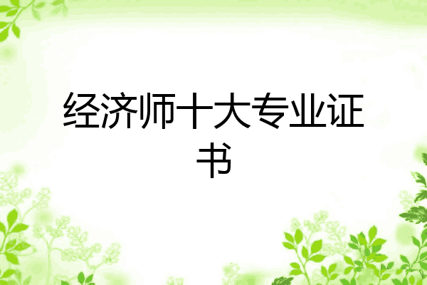 经济师十大专业证书