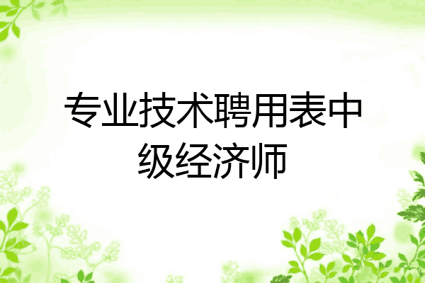 专业技术聘用表中级经济师