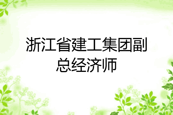 浙江省建工集团副总经济师