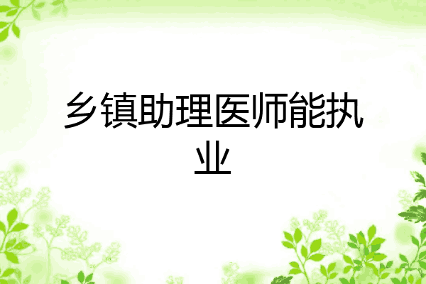 乡镇助理医师能执业