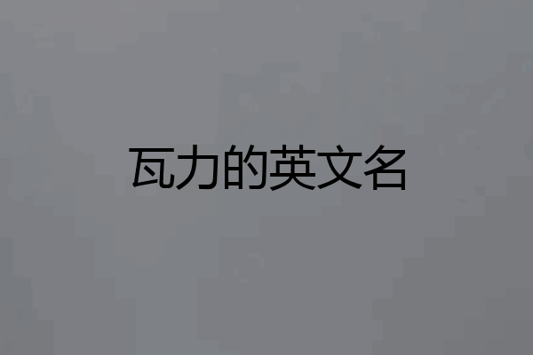 瓦力的英文名