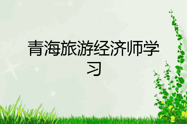 青海旅游经济师学习