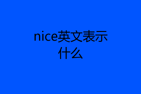 nice英文表示什么