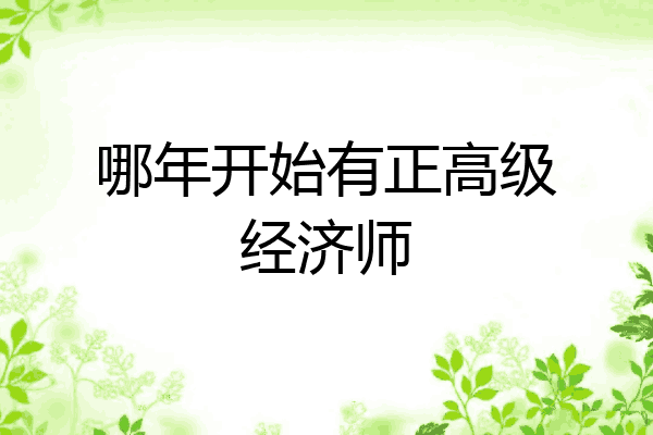 哪年开始有正高级经济师