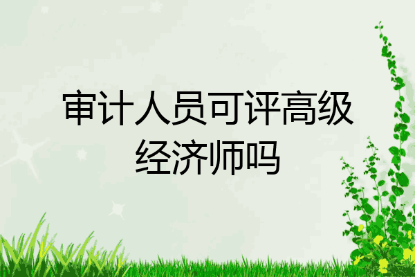 审计人员可评高级经济师吗