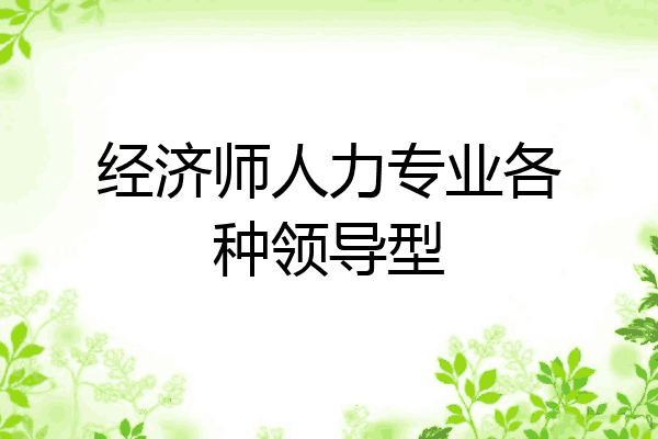 经济师人力专业各种领导型