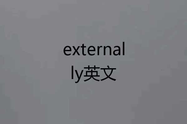 externally英文