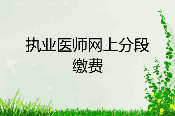 执业医师网上分段缴费