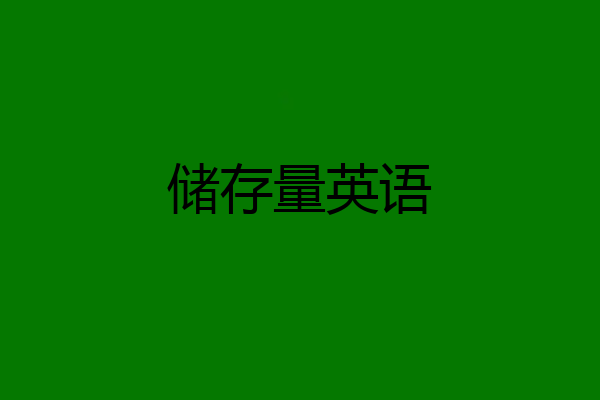 储存量英语