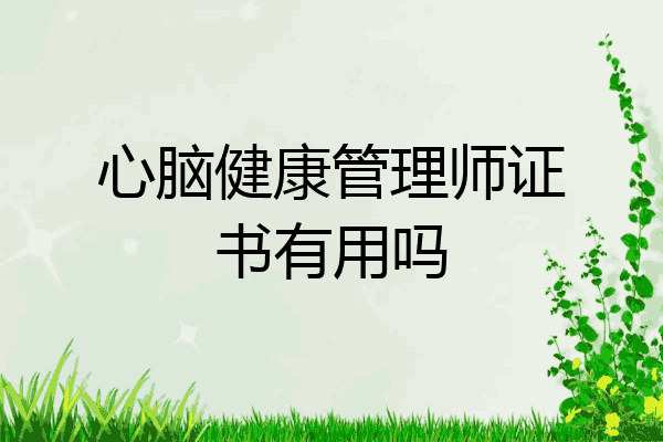 心脑健康管理师证书有用吗